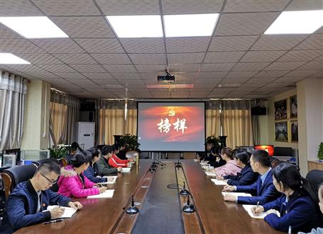 向榜樣看齊，做合格黨員