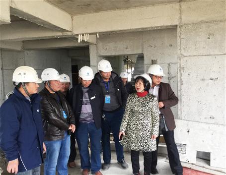 集團(tuán)公司黃梅率檢查組到公司項(xiàng)目進(jìn)行安全生產(chǎn)大檢查