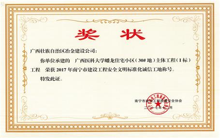 南寧分公司四個(gè)項(xiàng)目獲表彰！