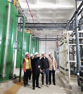 廖立波到桂華分公司項目調研指導工作