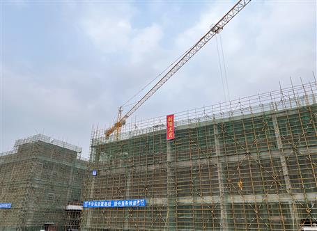 【奮戰(zhàn)一季度·沖刺開門紅】冶建桂南分公司承建項(xiàng)目主體封頂