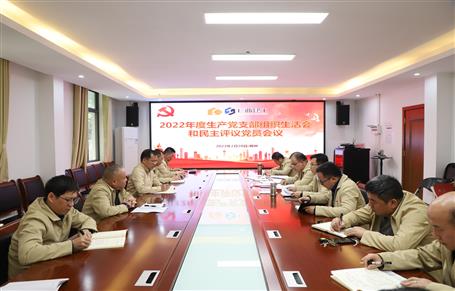 廖立波、唐峰、何勇以普通黨員身份參加所在黨支部2022年度組織生活會(huì)