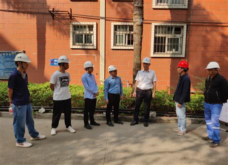 何勇、韋克雪到柳州市城市更新項目進行調研指導工作